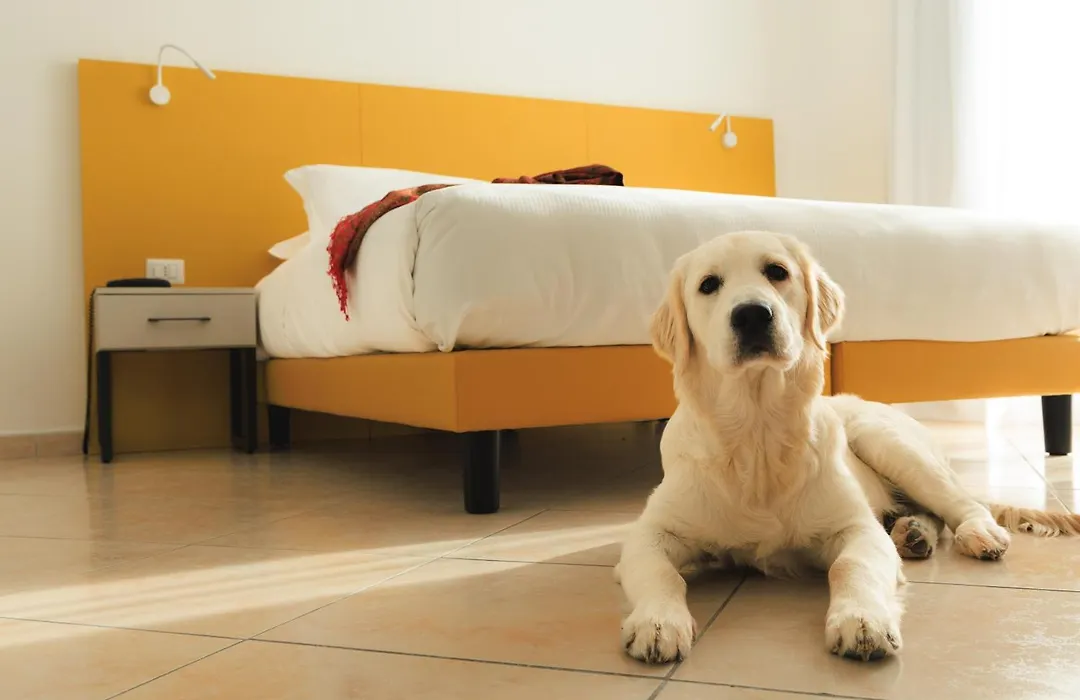 Albergo Sappia-1